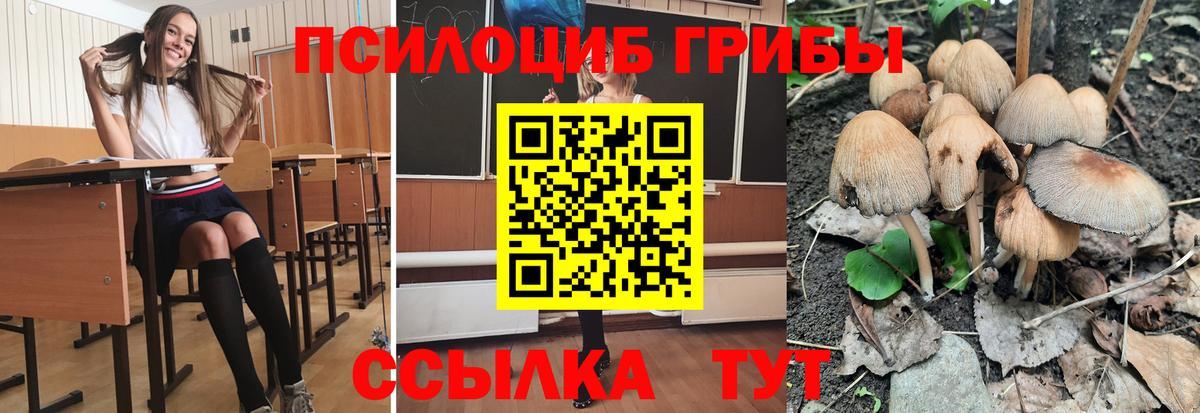 Галлюциногенные грибы мицелий Вичуга