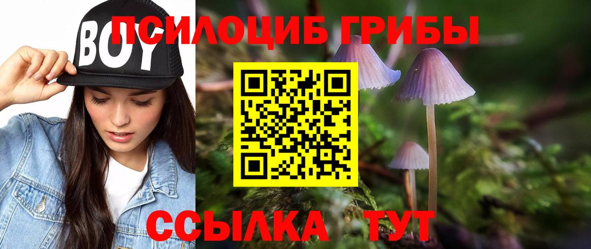Вичуга  Галлюциногенные грибы Psilocybine cubensis  Вход с VPN 