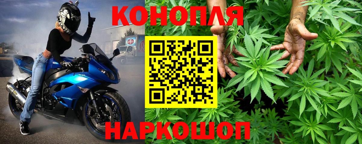 Вичуга  Марихуана Bruce Banner  Вход с VPN  Шишки марихуана SATIVA & INDICA 